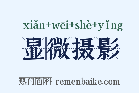 显微摄影是什么意思的图片